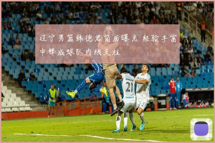 辽宁男篮韩德君简历曝光 经验丰富中锋成球队内线支柱