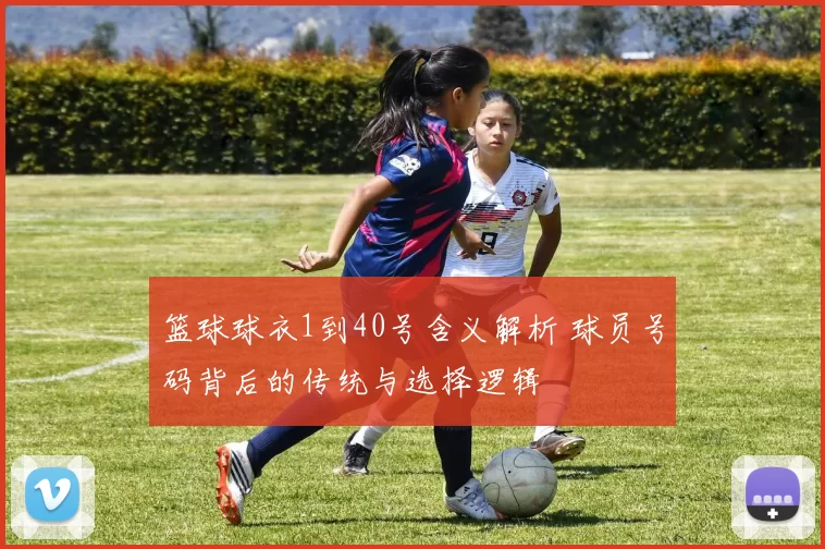 篮球球衣1到40号含义解析 球员号码背后的传统与选择逻辑