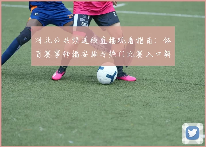 河北公共频道线直播观看指南:体育赛事转播安排与热门比赛入口解析