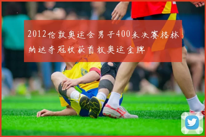 2012伦敦奥运会男子400米决赛格林纳达夺冠收获首枚奥运金牌