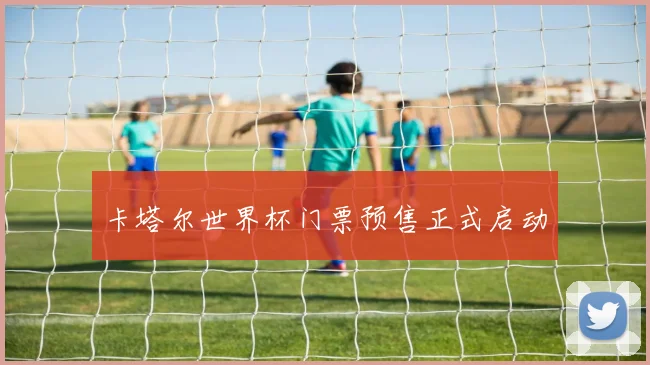 卡塔尔世界杯门票预售正式启动